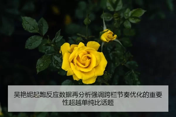 吴艳妮起跑反应数据再分析强调跨栏节奏优化的重要性超越单纯比话题