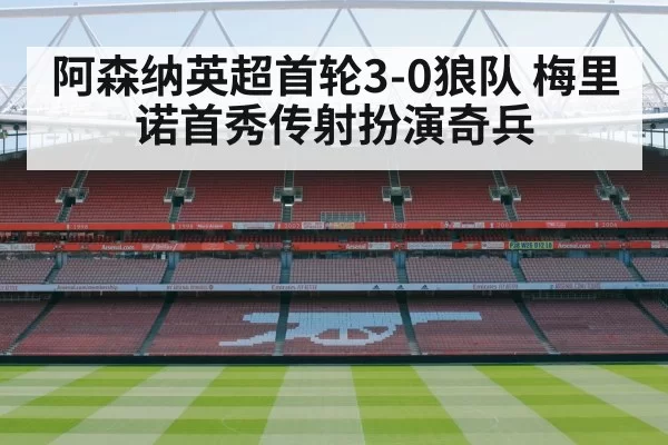 Arsenal football match