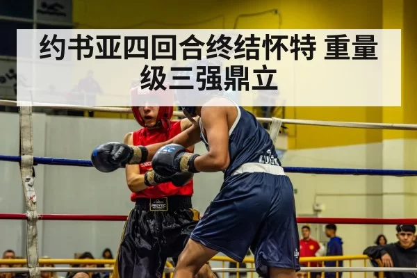 约书亚四回合终结怀特 重量级三强鼎立（huangguantiyu）